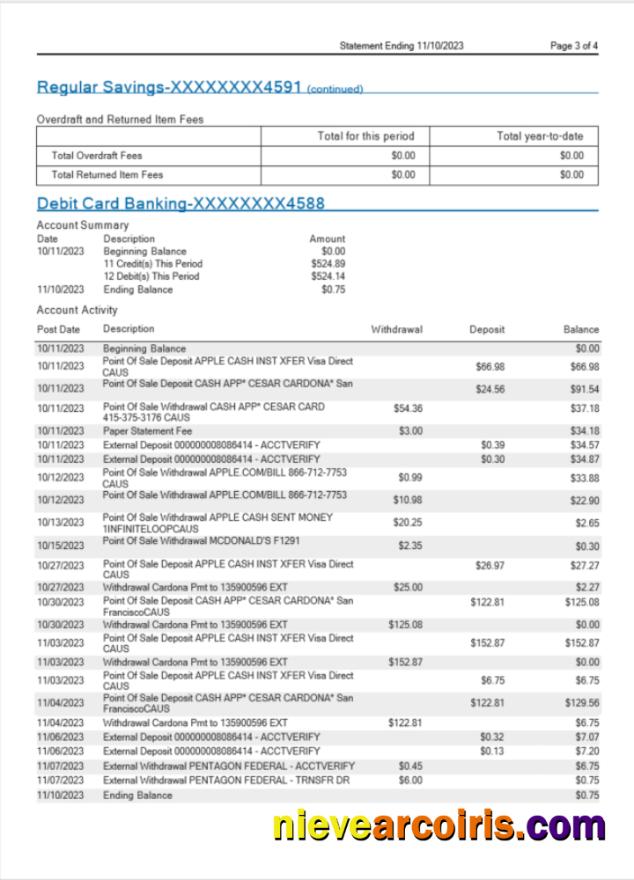 USA MidFlorida bank statement Word and PDF, 3 pages 3